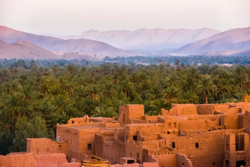 Circuits dans le désert marocain